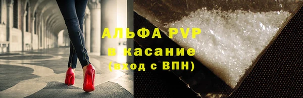 ECSTASY Новодвинск