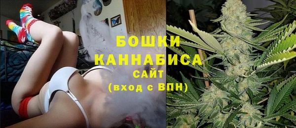 шишки Богданович