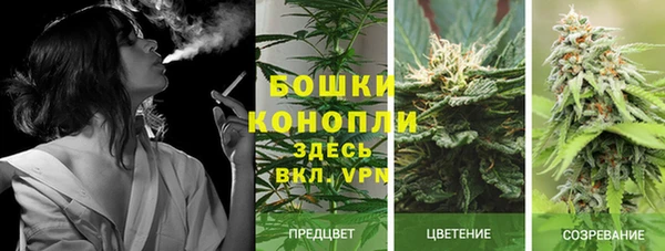 ECSTASY Новодвинск