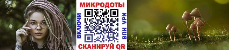 Псилоцибиновые грибы прущие грибы  Истра 