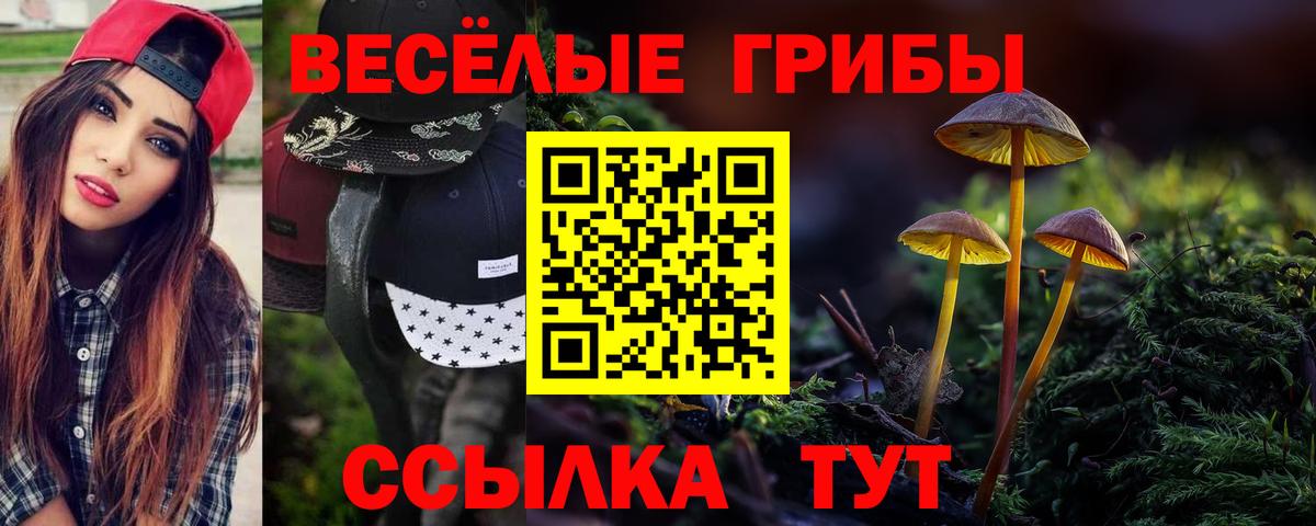 Галлюциногенные грибы мухоморы Истра