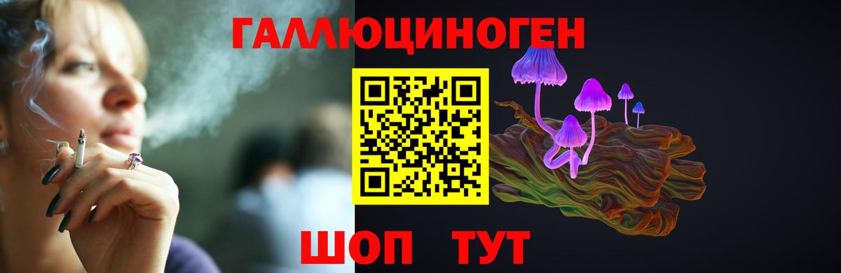 купить наркотик  Вход с VPN  Псилоцибиновые грибы прущие грибы  Истра  Псилоцибиновые грибы Psilocybine cubensis 