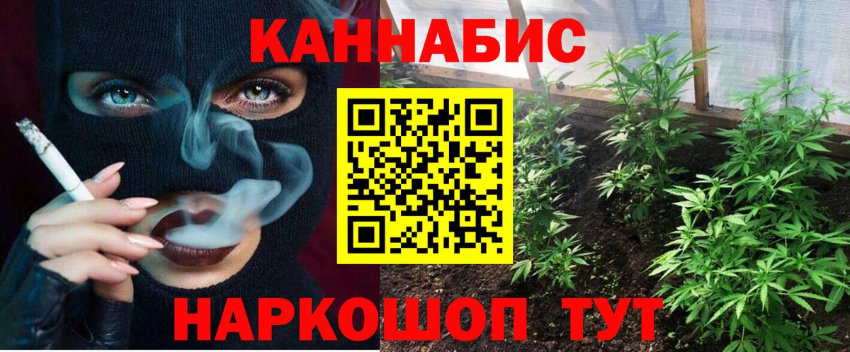 Бошки Шишки семена  Каннабис план  Истра  Вход с VPN 